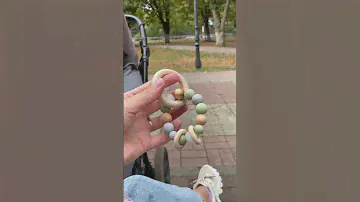 Браслет-грызунок из пищевого силикона с деревянными кольцами Безопасно0+ Без вкуса/запаха @mademinko